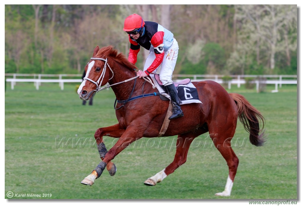 Bratislava - 07. aprl 2019 