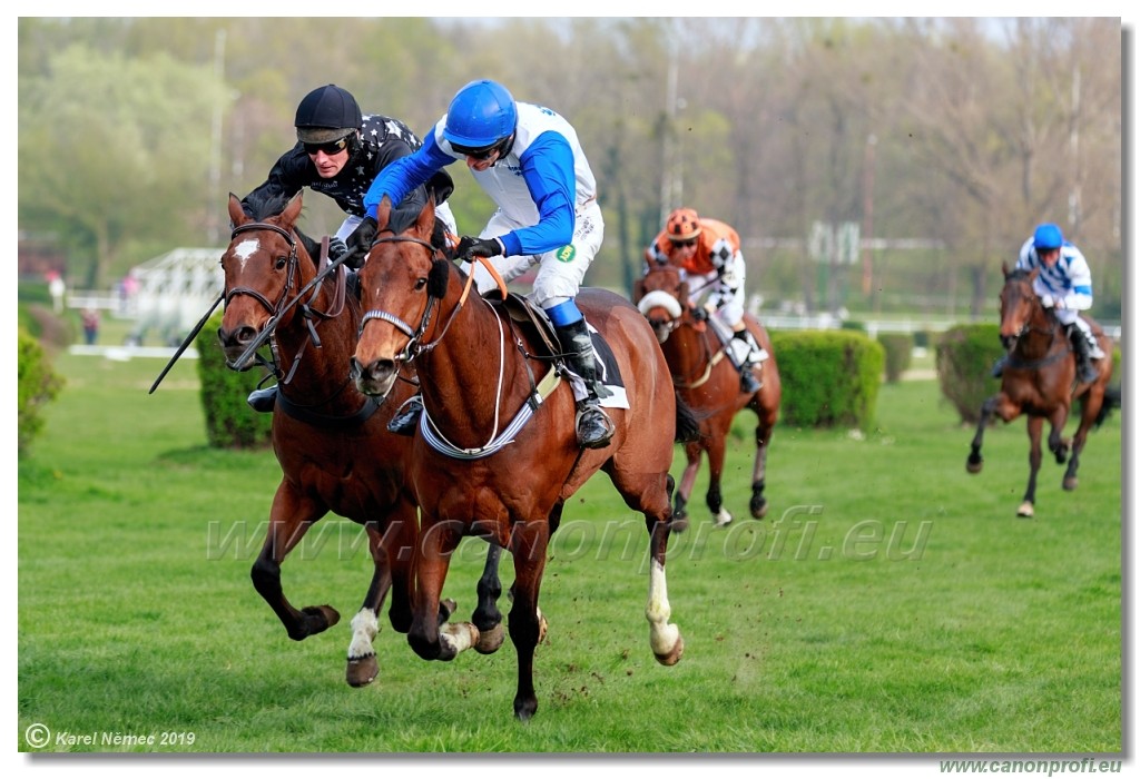 Bratislava - 07. aprl 2019 