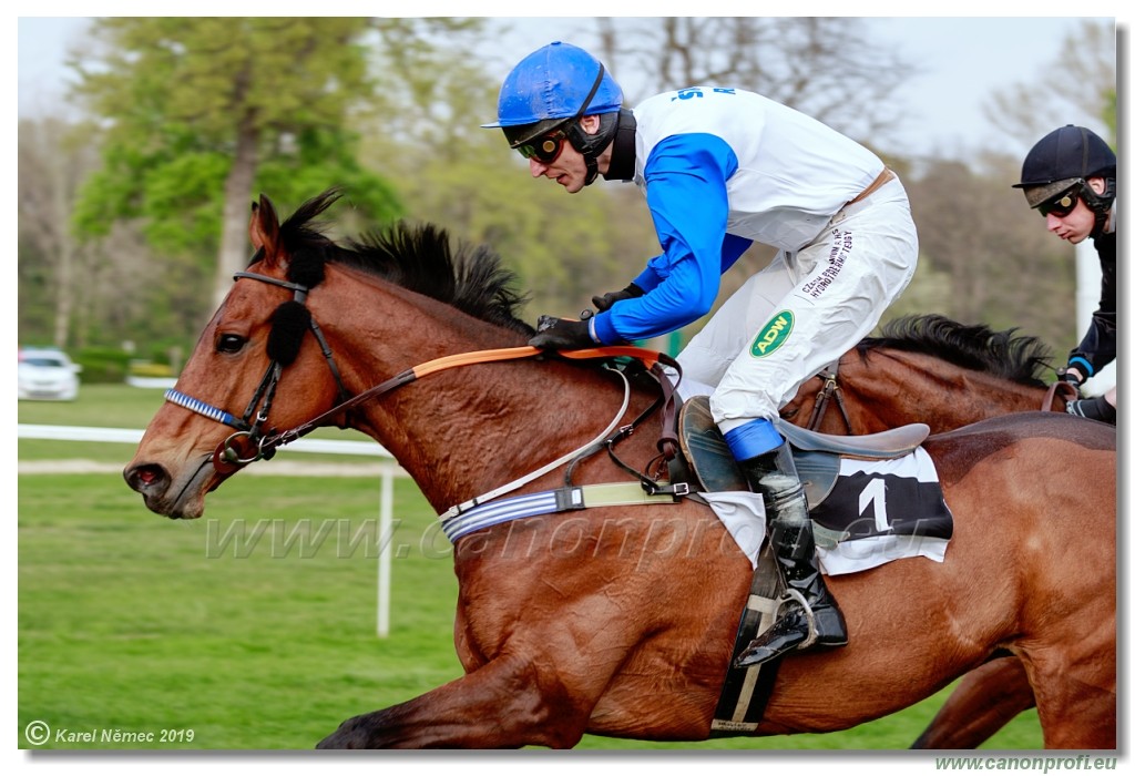 Bratislava - 07. aprl 2019 