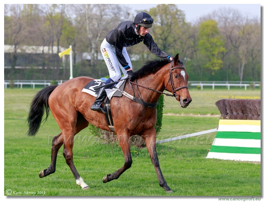 Bratislava - 07. aprl 2019 