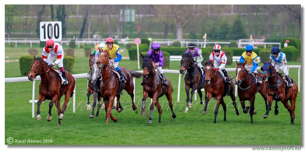 Bratislava - 07. aprl 2019 
