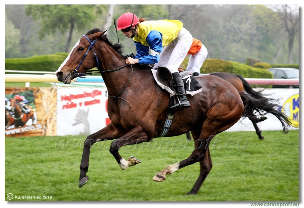 Bratislava - 14. aprl 2019 