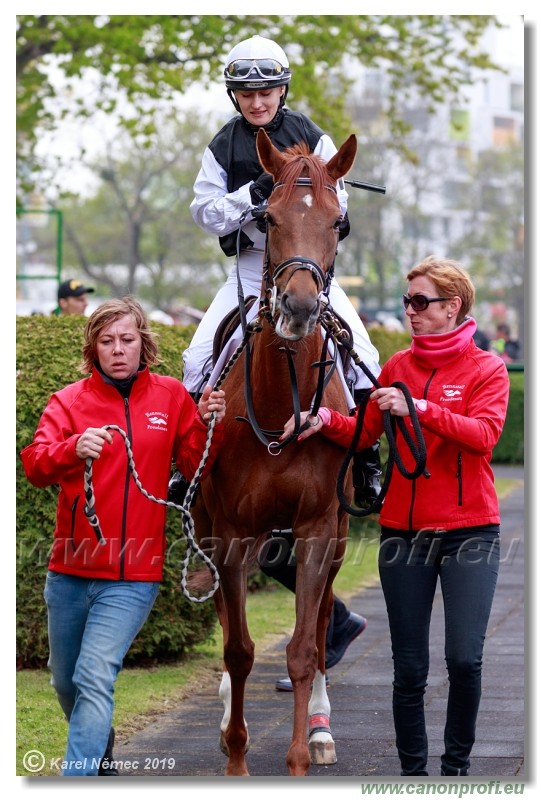 Bratislava - 14. aprl 2019 