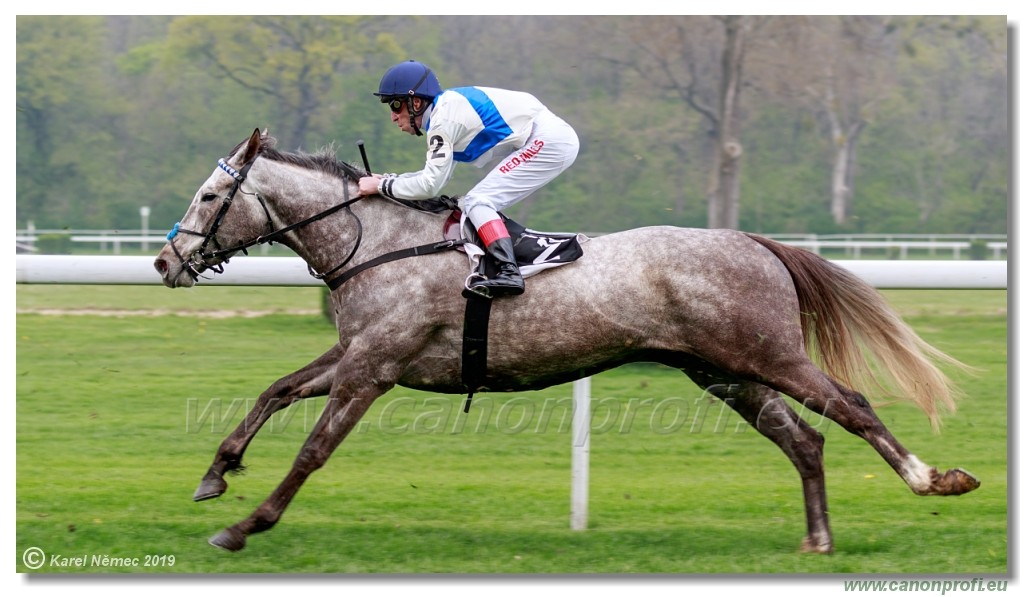 Bratislava - 14. aprl 2019 
