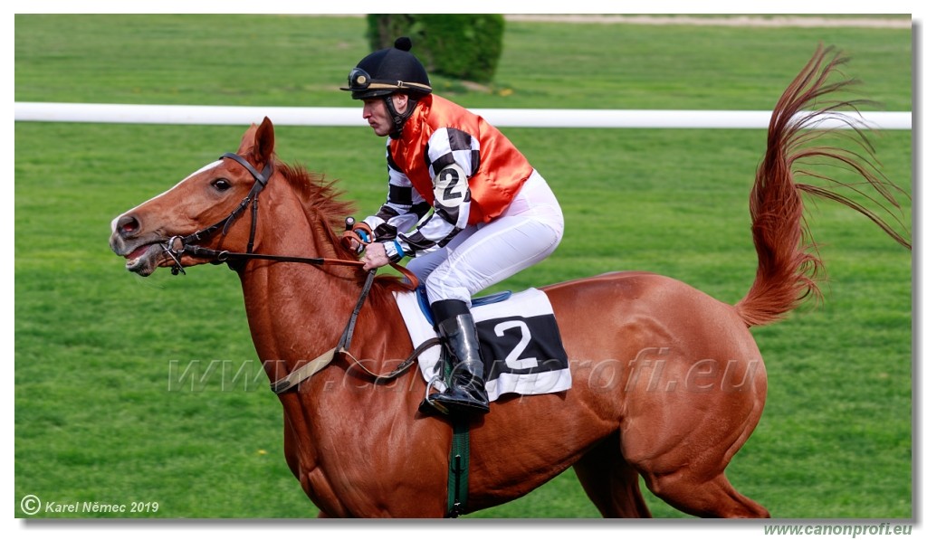 Bratislava - 14. aprl 2019 