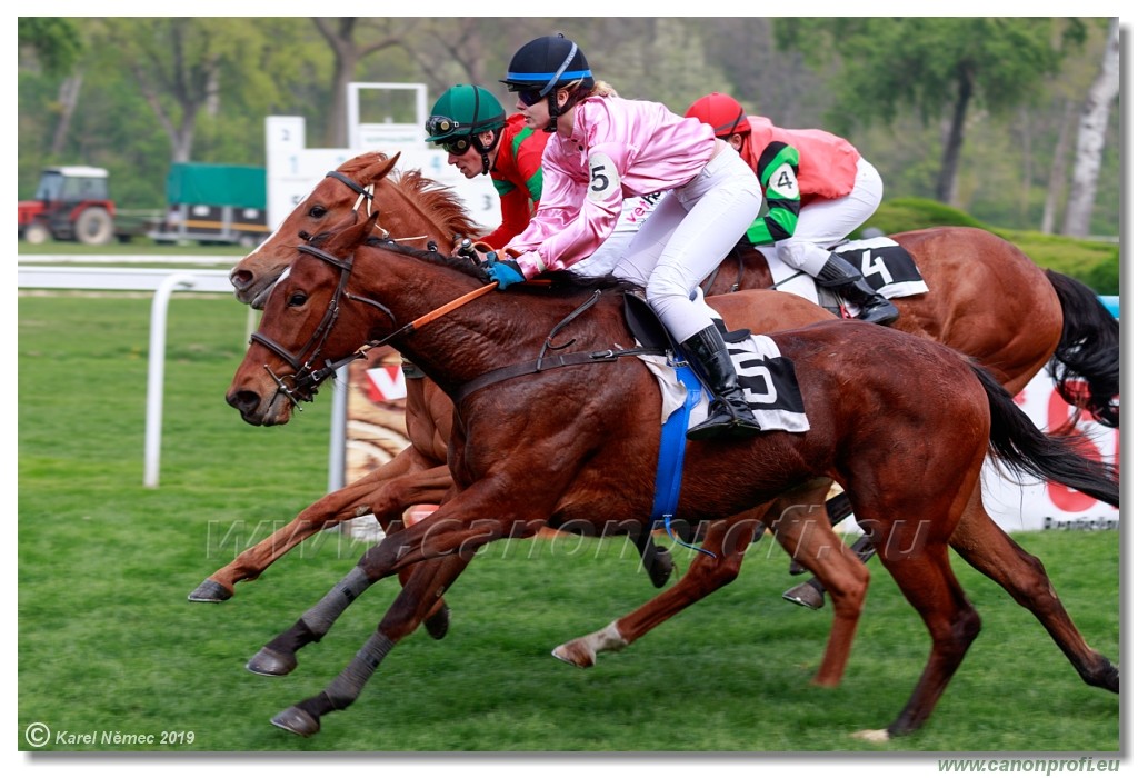 Bratislava - 14. aprl 2019 