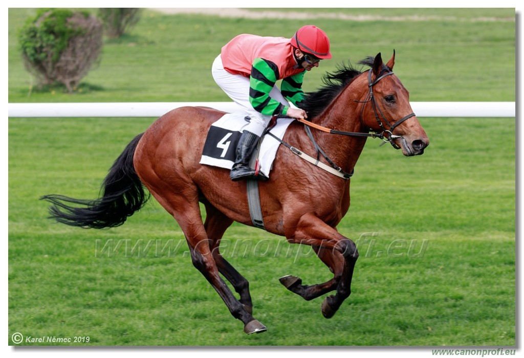 Bratislava - 14. aprl 2019 