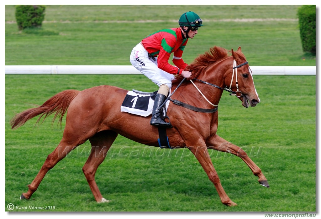 Bratislava - 14. aprl 2019 