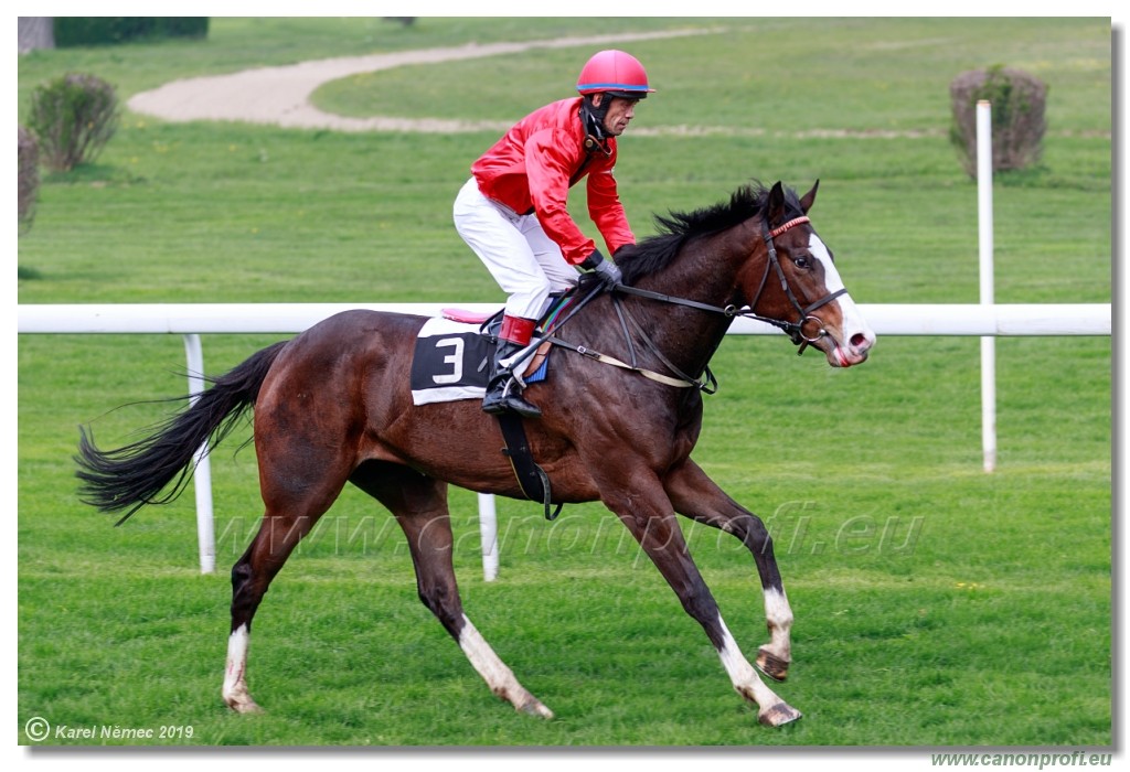 Bratislava - 14. aprl 2019 