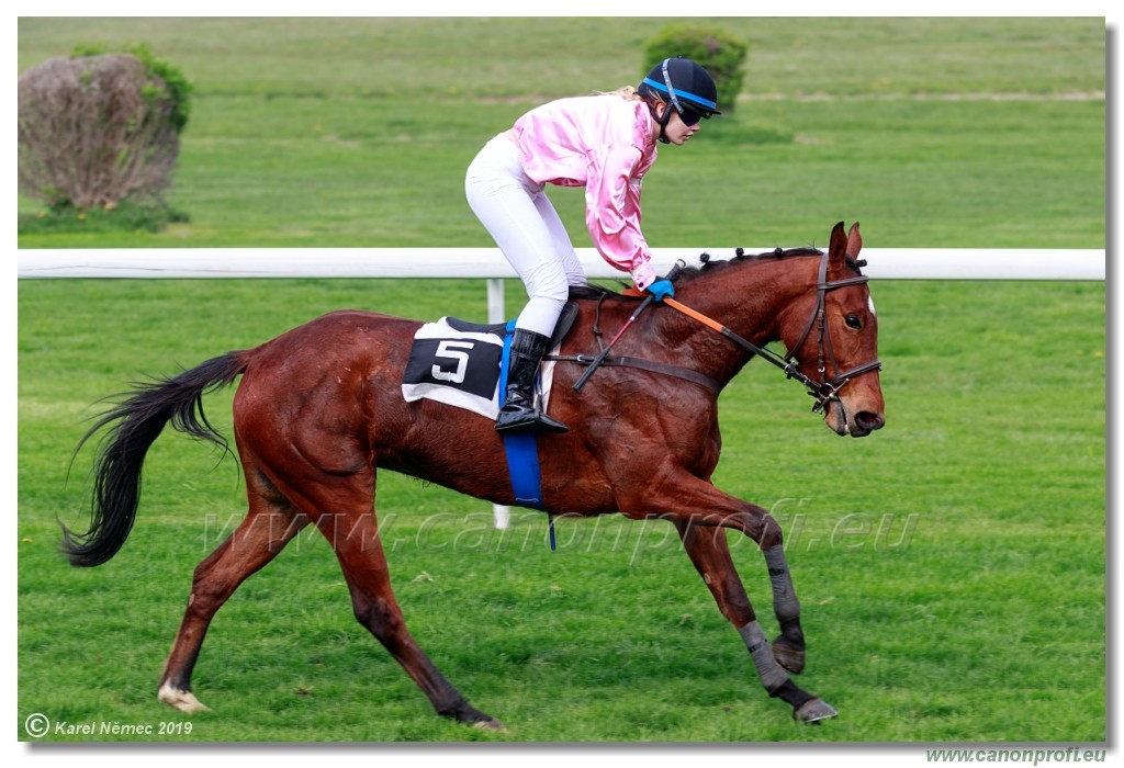 Bratislava - 14. aprl 2019 