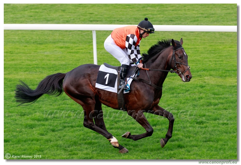 Bratislava - 14. aprl 2019 