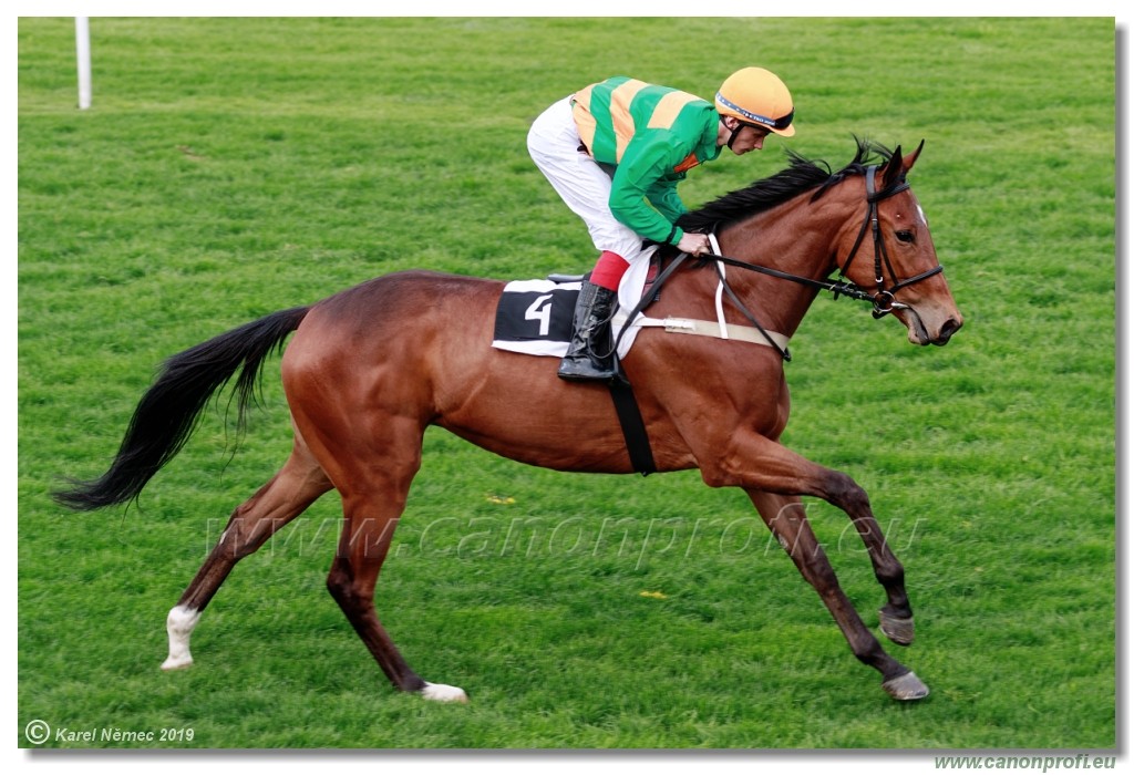 Bratislava - 14. aprl 2019 