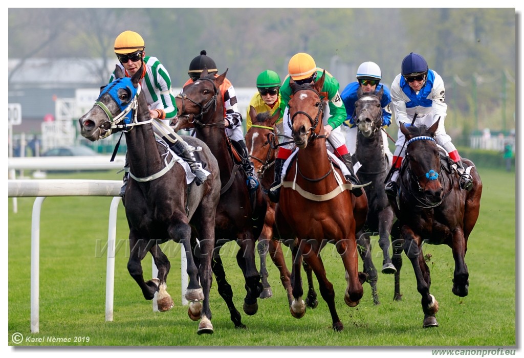 Bratislava - 14. aprl 2019 