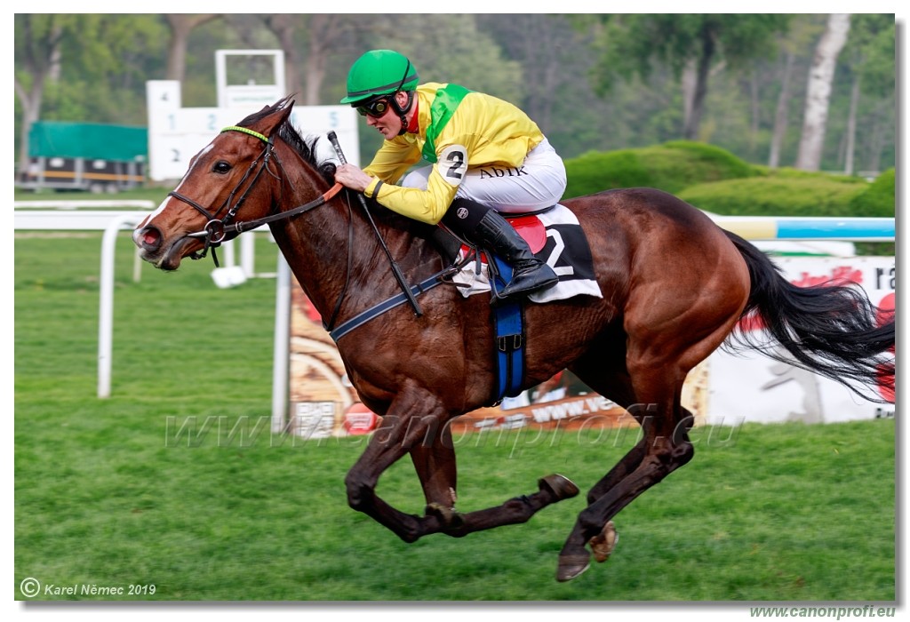 Bratislava - 14. aprl 2019 