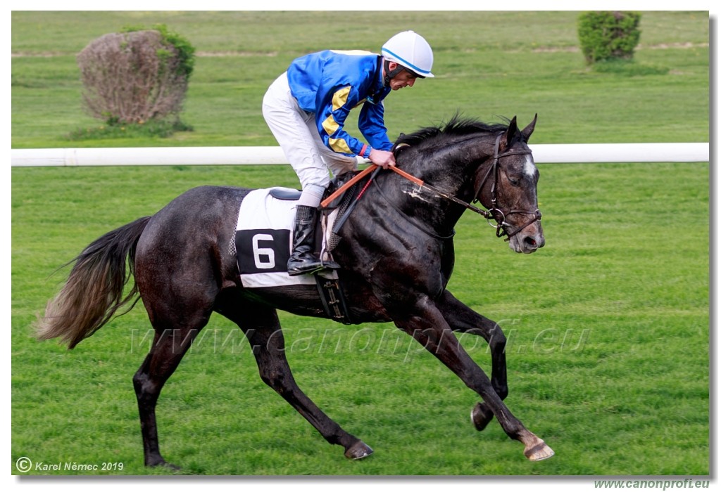 Bratislava - 14. aprl 2019 
