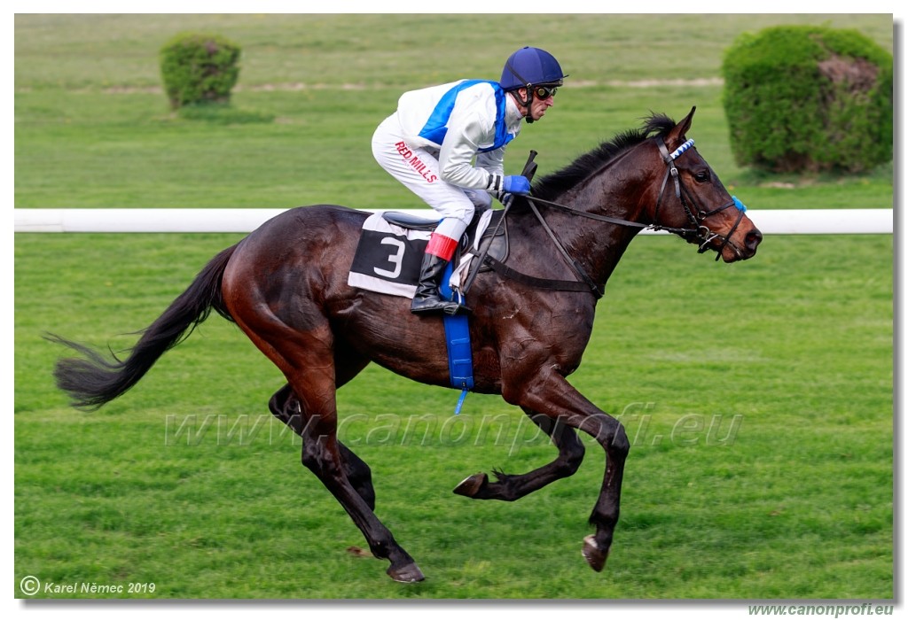 Bratislava - 14. aprl 2019 
