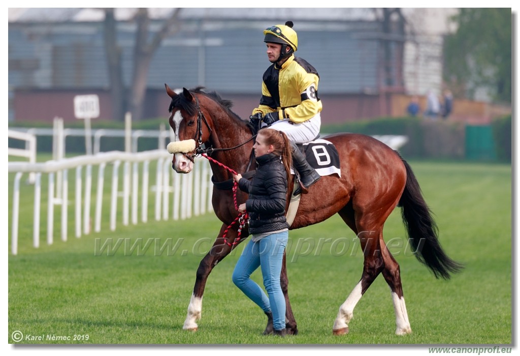 Bratislava - 14. aprl 2019 