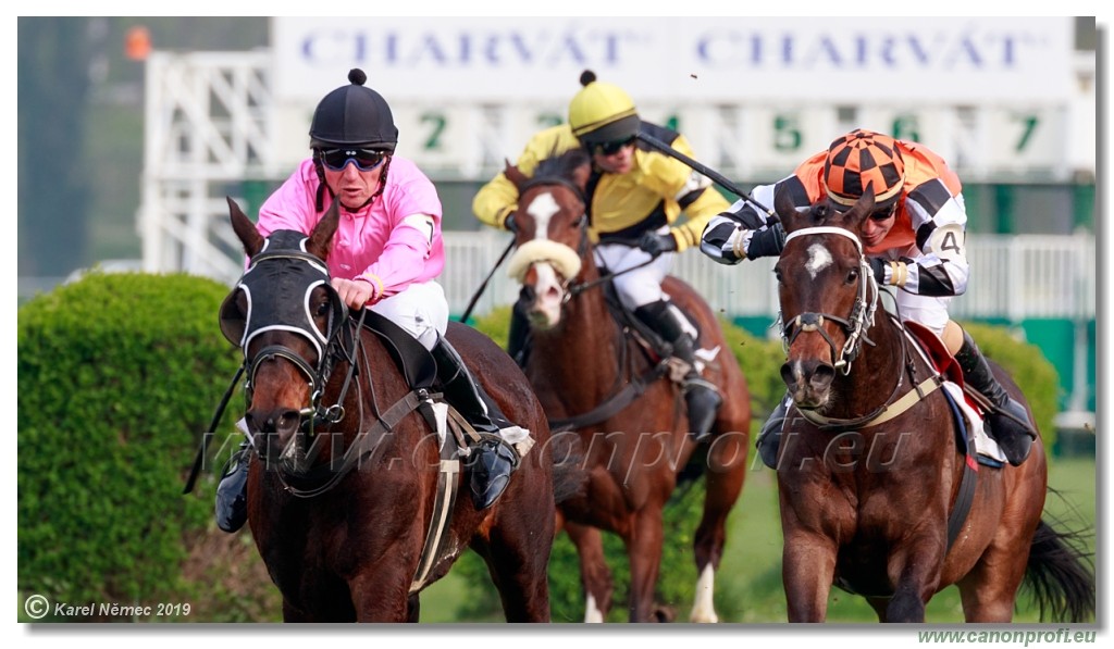 Bratislava - 14. aprl 2019 
