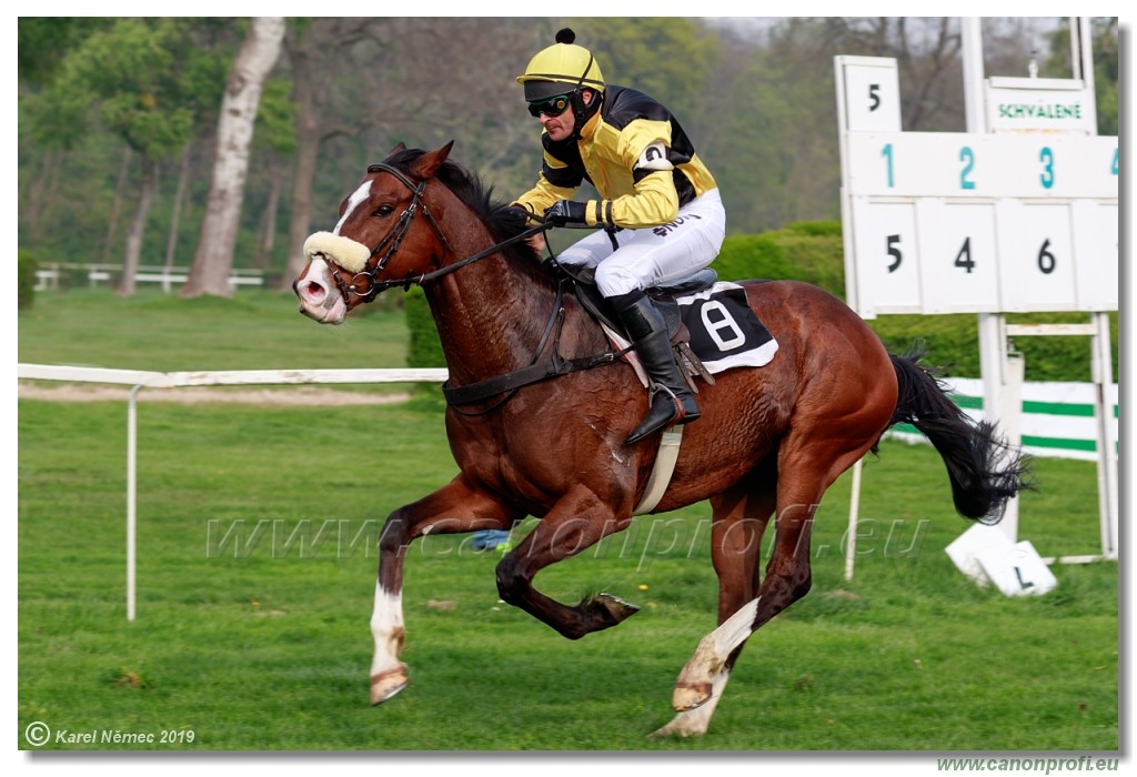 Bratislava - 14. aprl 2019 