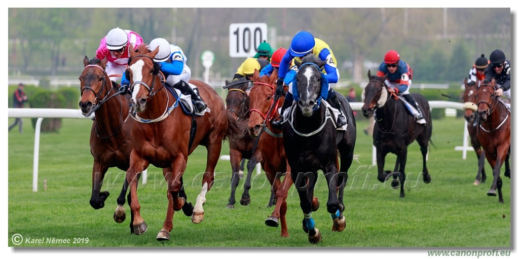 Bratislava - 14. aprl 2019 