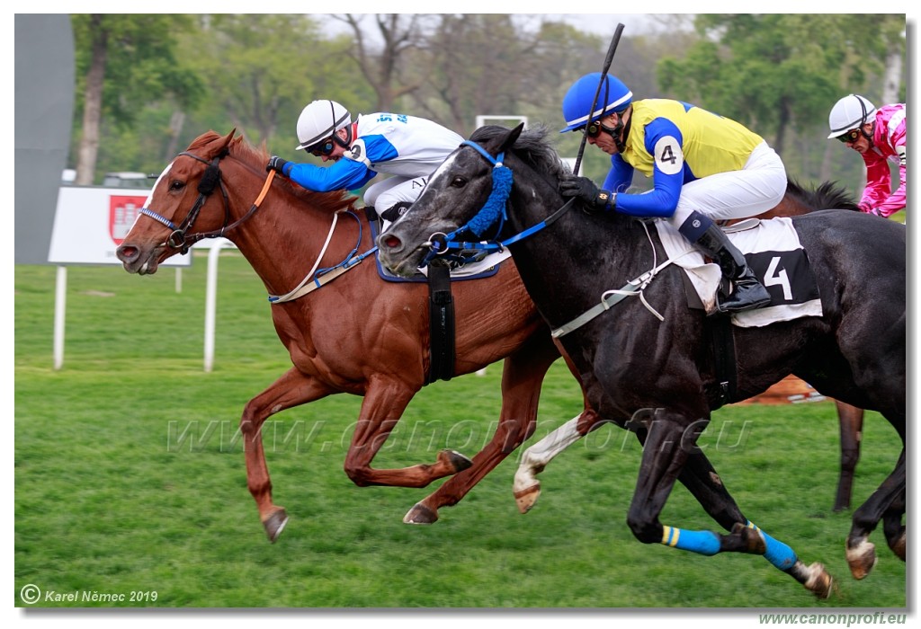 Bratislava - 14. aprl 2019 