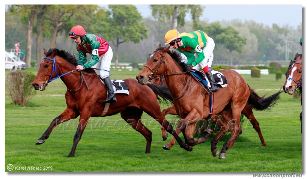 Bratislava - 14. aprl 2019 