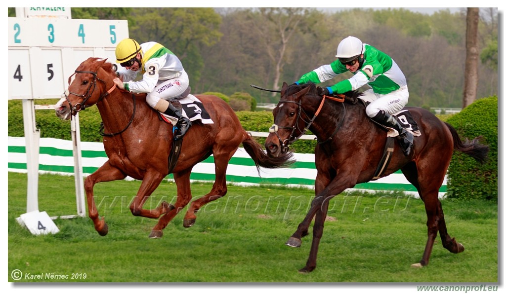 Bratislava - 14. aprl 2019 