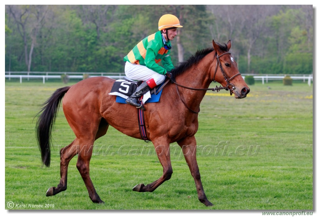 Bratislava - 14. aprl 2019 