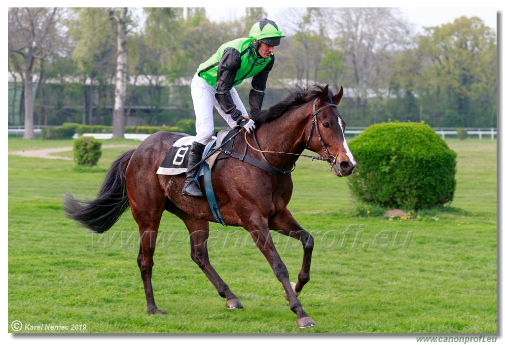 Bratislava - 14. aprl 2019 