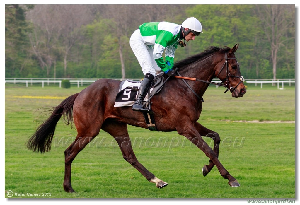 Bratislava - 14. aprl 2019 