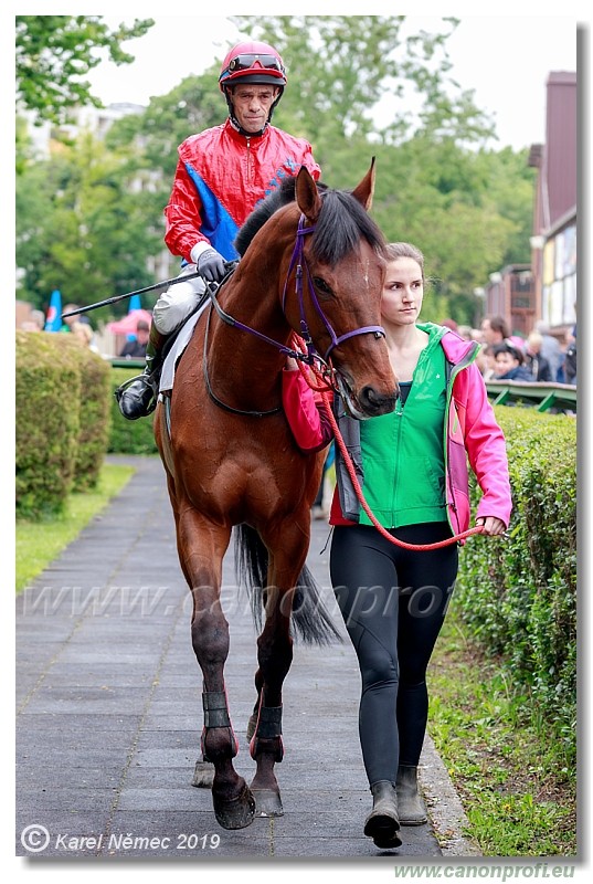 Bratislava - 12. mj 2019 
