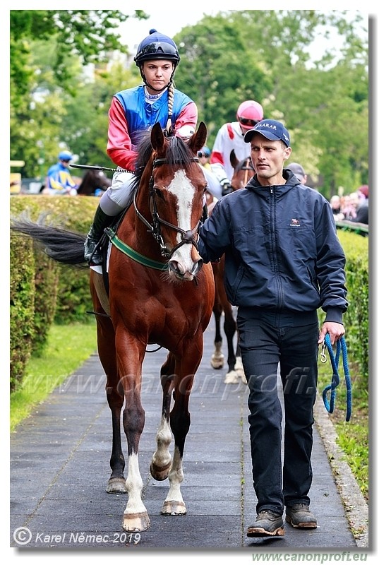 Bratislava - 12. mj 2019 