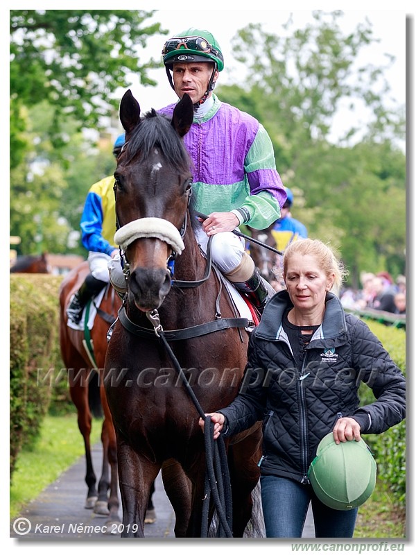 Bratislava - 12. mj 2019 