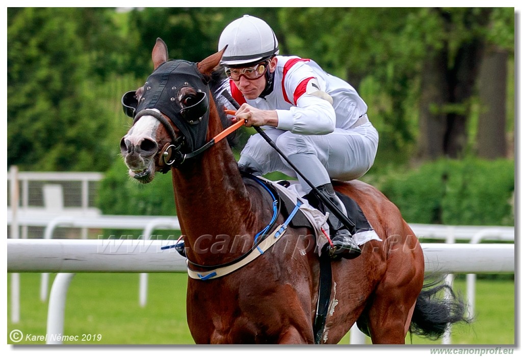 Bratislava - 12. mj 2019 
