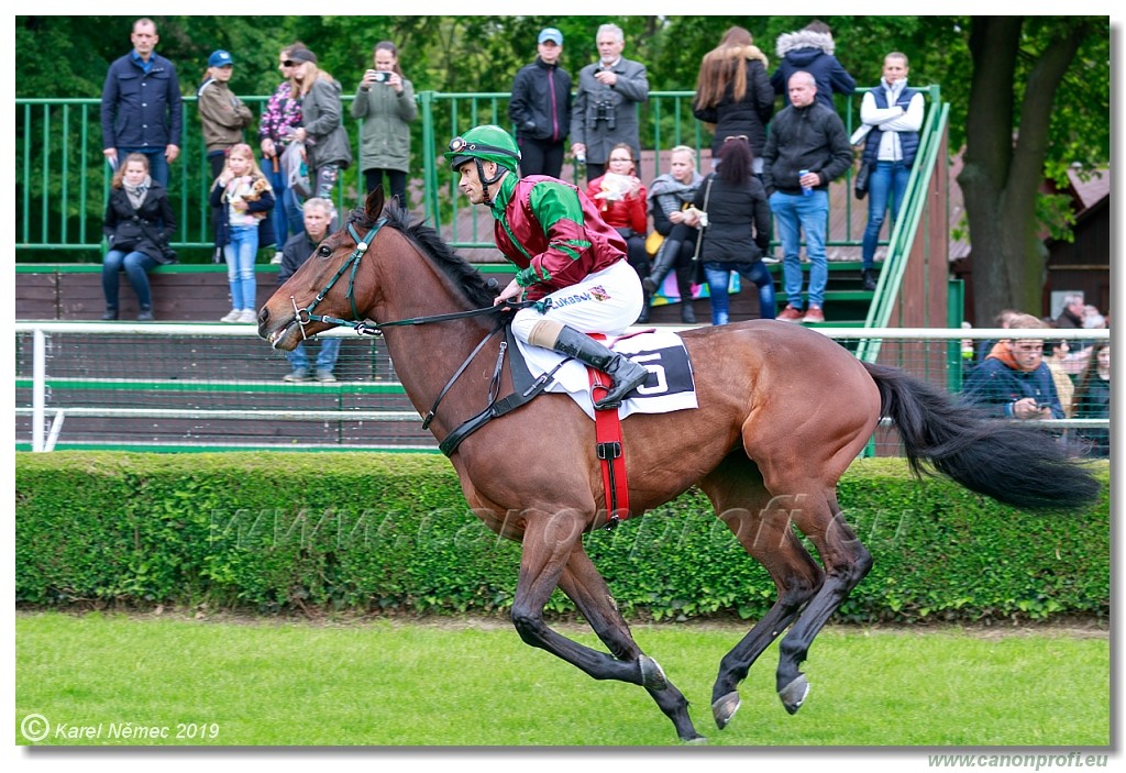 Bratislava - 12. mj 2019 