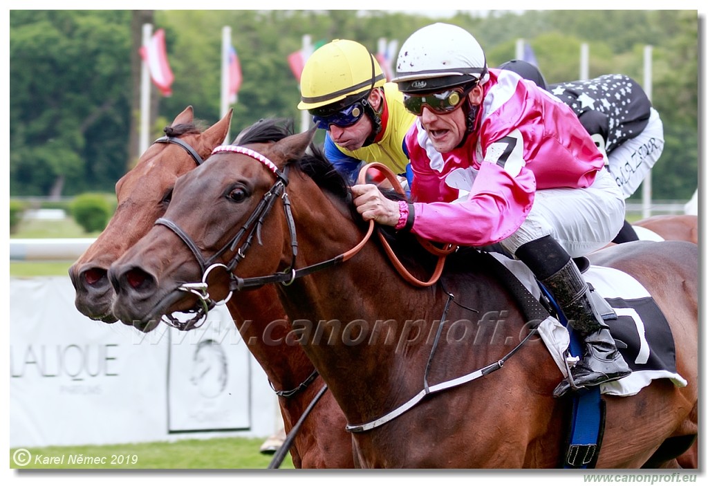 Bratislava - 12. mj 2019 