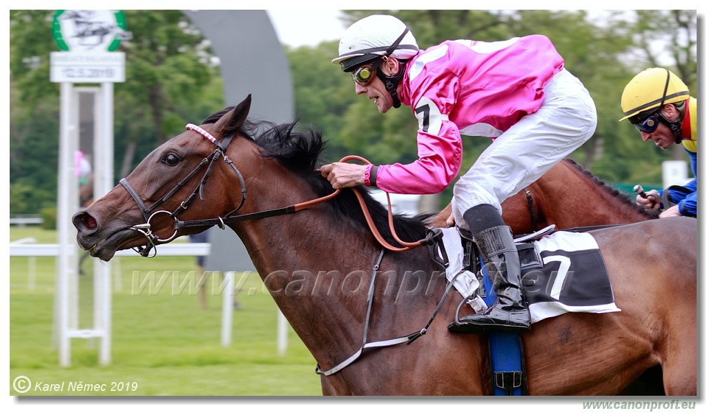 Bratislava - 12. mj 2019 