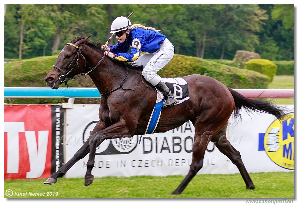 Bratislava - 12. mj 2019 