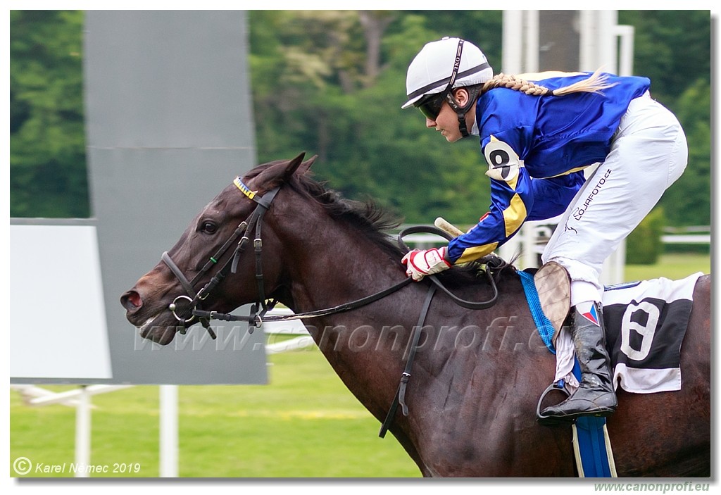 Bratislava - 12. mj 2019 