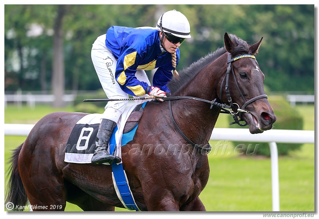 Bratislava - 12. mj 2019 