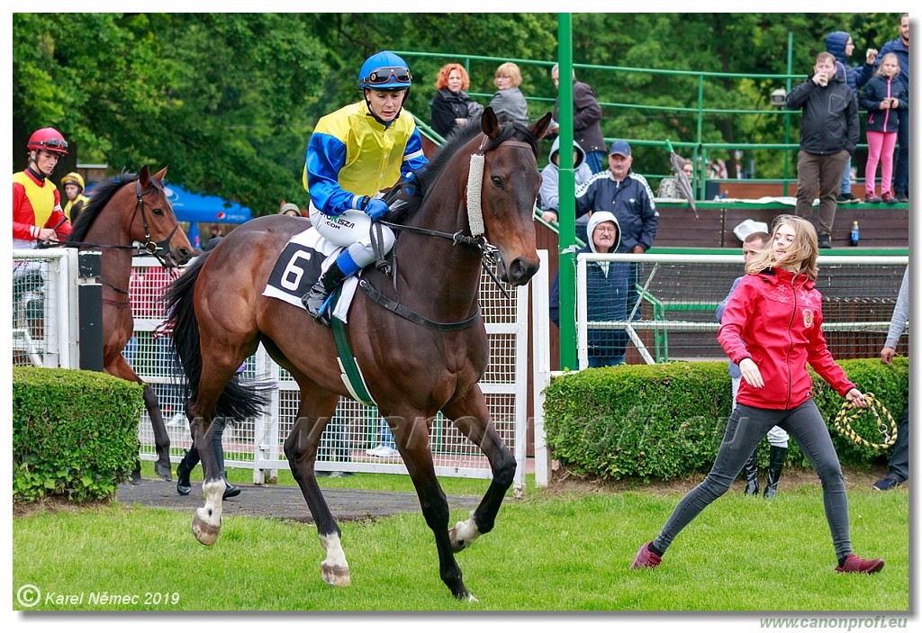 Bratislava - 12. mj 2019 