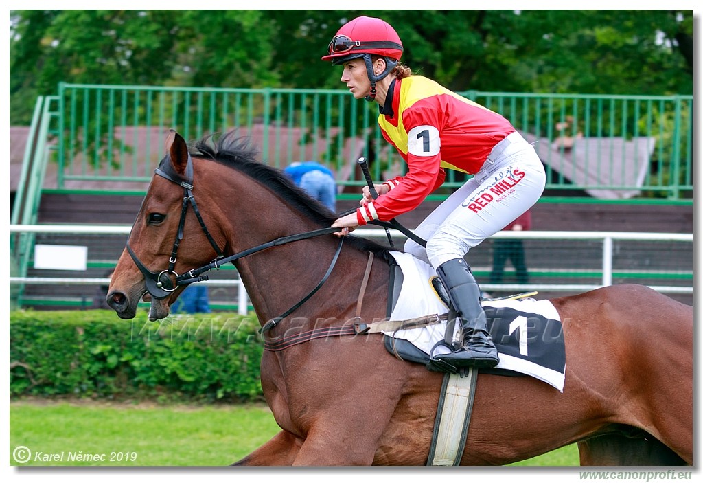 Bratislava - 12. mj 2019 