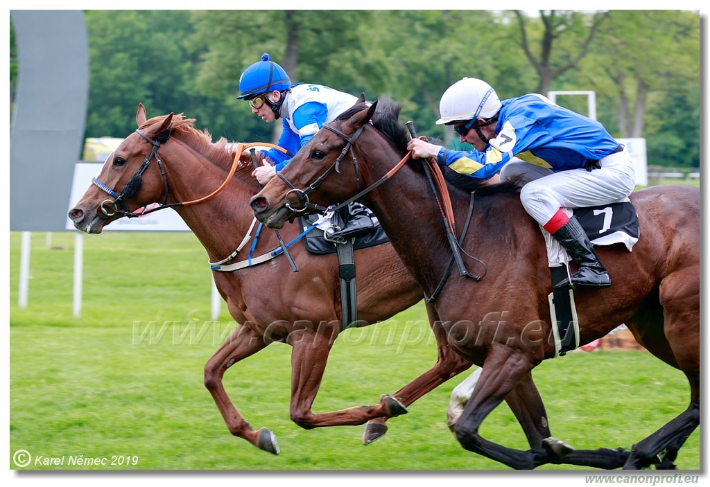 Bratislava - 12. mj 2019 