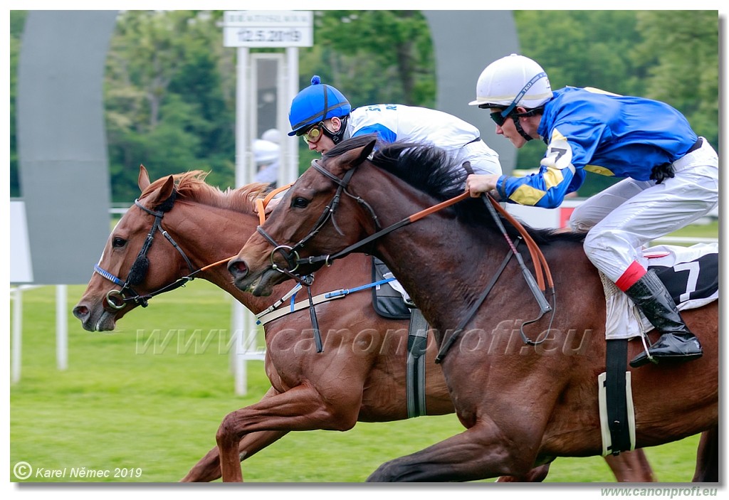 Bratislava - 12. mj 2019 