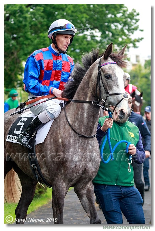 Bratislava - 12. mj 2019 