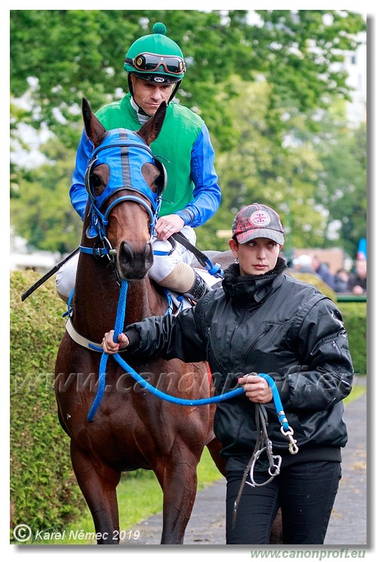 Bratislava - 12. mj 2019 