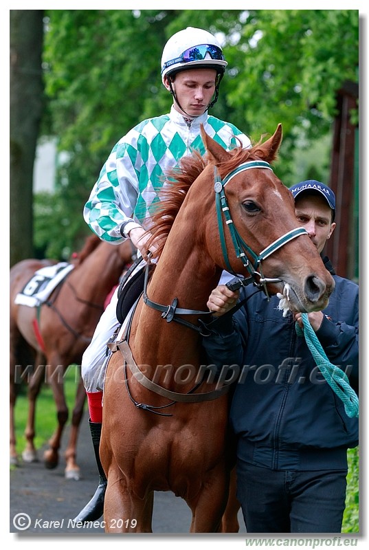 Bratislava - 12. mj 2019 