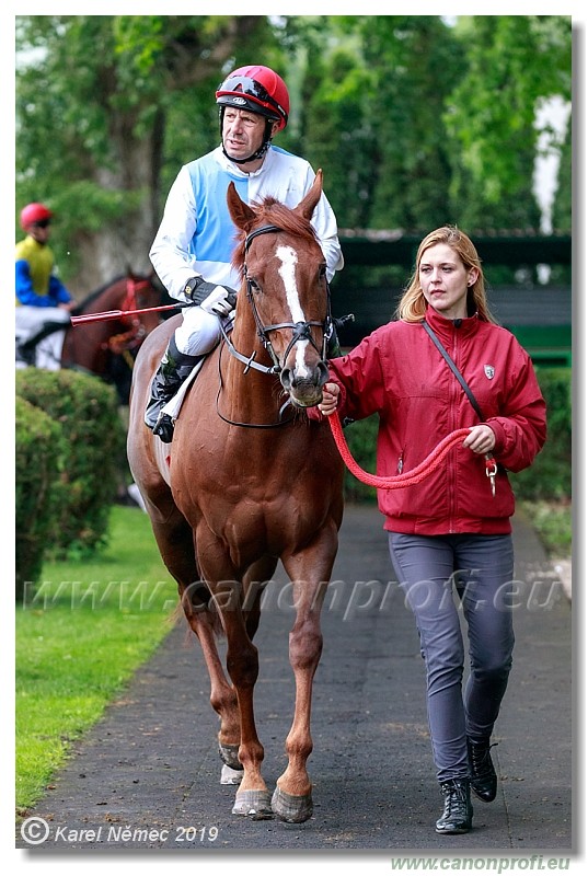 Bratislava - 12. mj 2019 