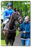 dostih . 8 - Hendikep Ypsilon Kinga 