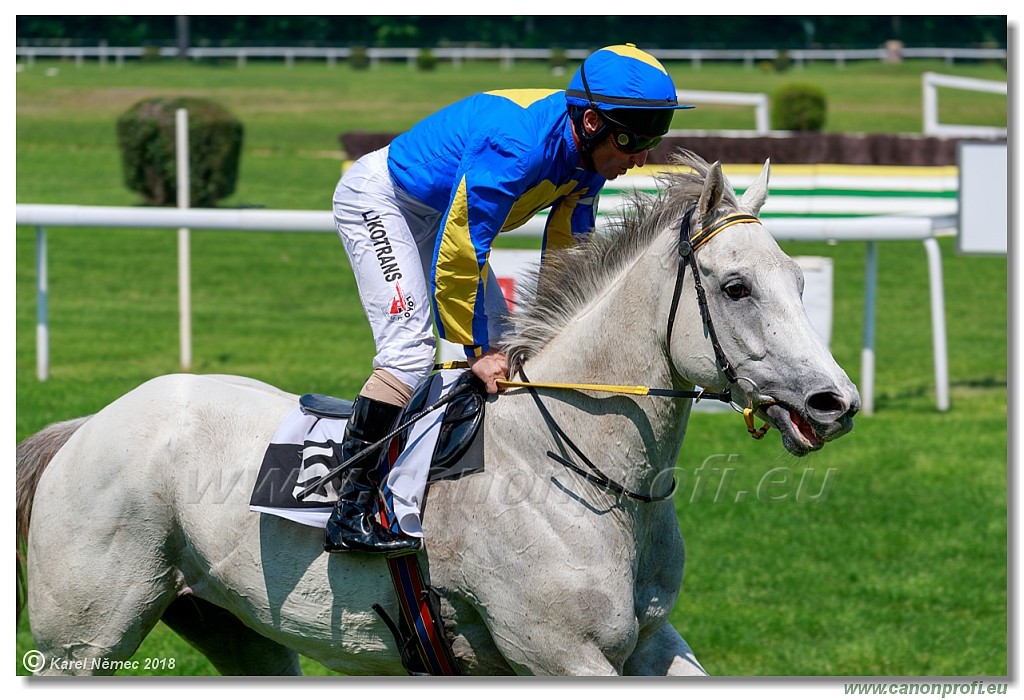 Bratislava - 2. jn 2019 